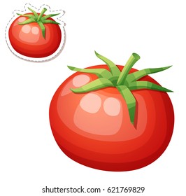 Whole tomato vegetable. Cartoon vector icon isolated on white background. Series of food and drink and ingredients for cooking