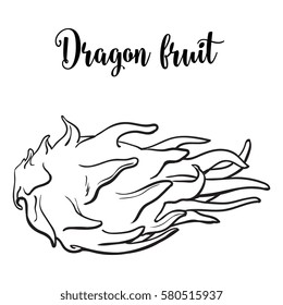 Whole unpeeled, uncut dragon fruit in horizontal position, sketch style vector illustration isolated on white background.