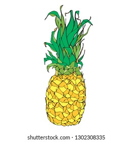 Whole, unpeeled, uncut pineapple, sketch style vector illustration isolated on white background. Hand drawing, color sketch of ripe pineapple. Design for Kids, Greeting Card, Baby dishes, web banners,