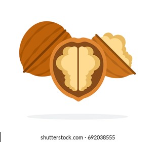 Whole walnut and half walnut with a kernel vector flat material design isolated on white