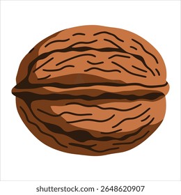Noz inteira com shell vetor ilustração desenho animado plano. Isolado em fundo branco, ideal para blogs gastronômicos e rótulos de produtos orgânicos.