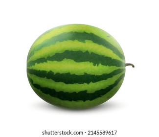 Whole Watermelon Fruit isolated on white background. Fresh delicious watermelon. Realistic 3d Vector illustration. Fresh summer fruit high in minerals and vitamins. Harvested Watermelon.