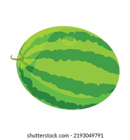 Whole Watermelon Illustration, Summer Fruit Icon