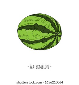 Ganze Wassermelone. Einziger Gegenstand auf weißem Hintergrund. Cartoon-Illustration der Vektorillustration. Handgezeichnet.