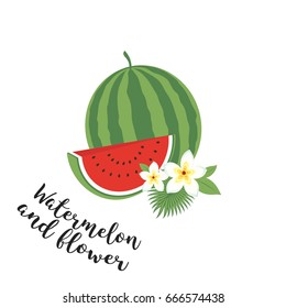 Whole watermelon with slice and leaves. Vector illustration. Fruit set. Icons tropical fruits with leaves and flowers. Set of vector trendy illustrations isolated on white