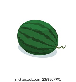 sandía completa con ilustración vectorial de tallo aislada en fondo blanco. 