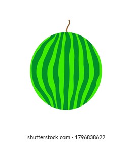 The whole watermelon. Striped light and dark green rind. Vector illustration.