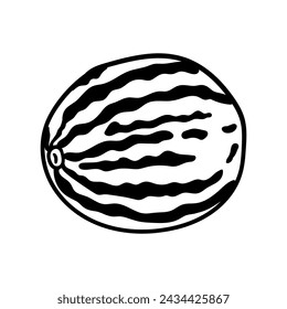 Whole watermelon vector icon in doodle style. Symbol in simple design. Cartoon object hand drawn isolated on white background.