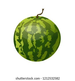 Whole watermelon. Vector illustration isolated on white background
