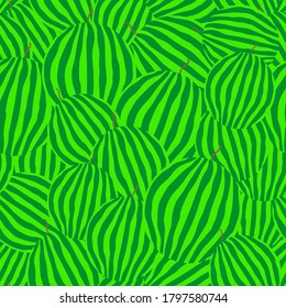 Whole watermelons seamless pattern. Striped light and dark green rind. Vector illustration.