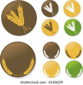 Whole Wheat Icon