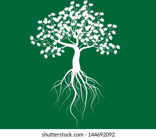 whole white tree with roots isolated green background vector
