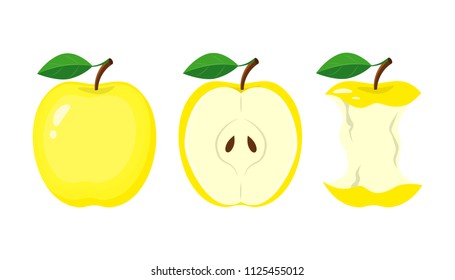 Whole yellow apple, half apple slice, bitten apple. vector illustration isolated on white background.