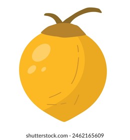 Whole yellow coconut fruit vector illustration, isolated on white background