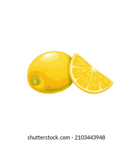 Whole yellow lemon with lemon fruit slice. Citrus fruit vector illustration.
