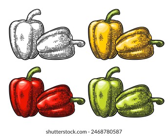 Whole yellow, red, green sweet bell pepper. Vector color vintage engraving illustration for menu, poster, label. Isolated on white background. Hand drawn design element