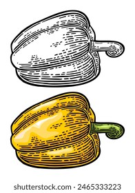 Whole yellow sweet bell pepper. Vector color vintage engraving illustration for menu, poster, label. Isolated on white background. Hand drawn design element