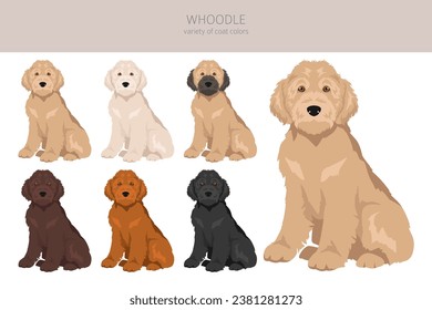 Whoodle clipart. Wheaten terrier Poodle mix. Different coat colors set.  Vector illustration