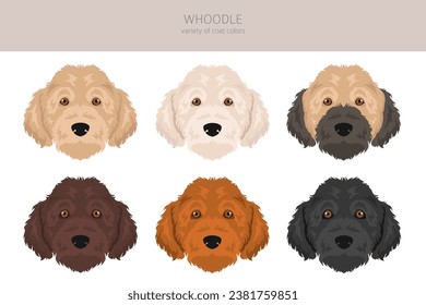 Whoodle clipart. Wheaten terrier Poodle mix. Different coat colors set.  Vector illustration