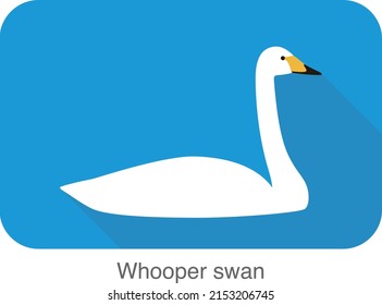 whooper swan, cartoon flat icon  vector illustration