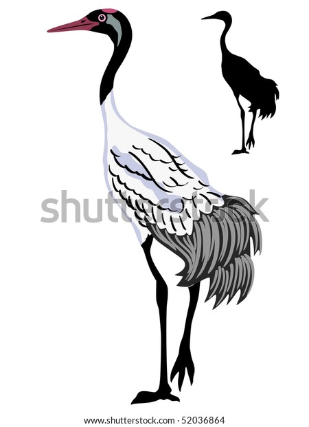 Whooping Crane Stock Vector (Royalty Free) 52036864