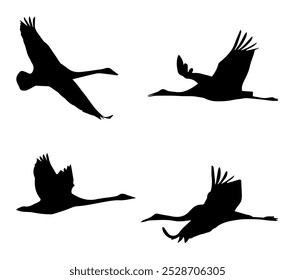 Whooping crane in different poses vector silhouette stock illustration