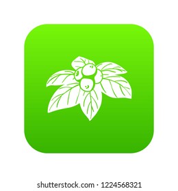 Whortleberries icon green vector isolated on white background