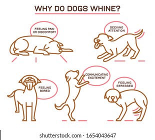 Do Dogs Whine When Bored