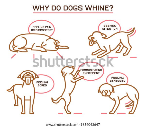なぜ犬は鳴くのか 犬の迷惑行為のアイコン 教育ポスター 家畜 ペットの言葉 シンプルなアイコン サイン 白い背景に編集可能なベクターイラスト 横向きのポスター のベクター画像素材 ロイヤリティフリー