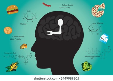 Why do we get hungry? Hunger is controlled by the brain, which responds to what we eat.