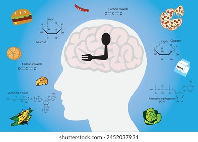 ¿Por qué tenemos hambre? El hambre es controlada por el cerebro, que responde a lo que comemos.	