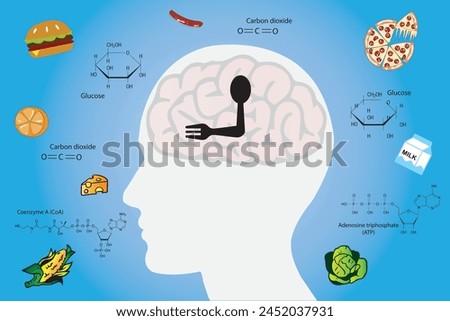 Why do we get hungry? Hunger is controlled by the brain, which responds to what we eat.	
