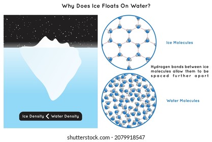 Why Does Ice Floats on Water Infographic Diagram showing different in hydrogen bonds between ice and water molecules which make ice less dense than water for physics science education