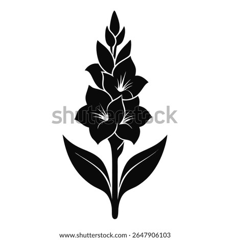 Why Every Designer Needs a Gladiolus Vector Icon Collection