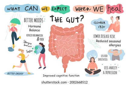 Why gut health matters. Landscape poster. Medical infographic. Digestion is important for body. Stomach function. Vector illustration with characters in modern style. Healthcare, scientific concept