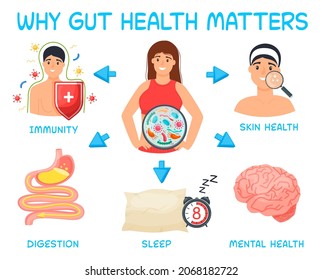 Why Gut Health Matters. Landscape Poster. Medical Infographic. Digestion Is Important. Stomach Function. Editable Vector Illustration In Modern Outline Style. Healthcare And Scientific Concept