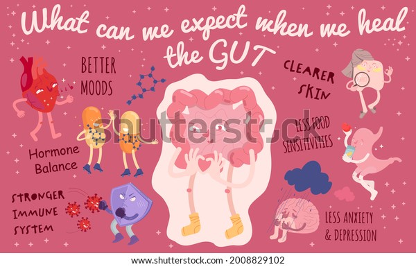 Why Gut Health Matters Landscape Poster Stock Vector Royalty Free