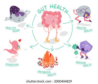 Why gut health matters. Scientific poster with characters. Medical infographic. Digestion is important. Stomach function. Editable vector illustration in modern outline style. Healthcare concept