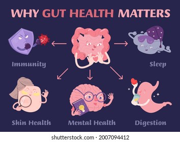 Why Gut Health Matters. Scientific Poster With Characters. Medical Infographic. Digestion Is Important. Stomach Function. Editable Vector Illustration In Modern Cartoon Style. Healthcare Concept