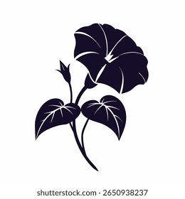 Why Morning Glory Icons Are Popular in Graphic Design