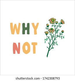 Why not sign with a sprig of chamomile. Hand drawn doodle style with lettering. Single element, simple sketch. Stock vector illustration, isolated on white background.
