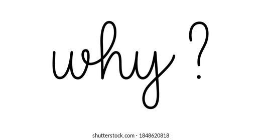 Why question phrase handwritten by one line. Monoline vector text element isolated on white background. Simple inscription. 