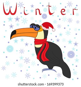 Why Toucan is so cold in winter? Cheerful Toucan in a cap of Santa and in a scarf on neck on the background of a winter motif. Hand drawing cartoon vector illustration