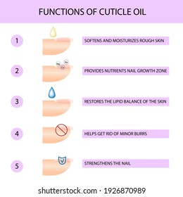 Why use cuticle oil. Professional manicure guide, Vector illustration, infographics