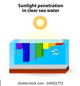 Why is Water Blue? Water absorbs warm colors a long wavelength light and scatters the cooler colors (short wavelength light). red light is absorbed strongly and blue light has the deepest penetration.