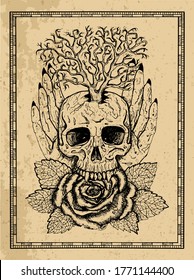 Wiccan emblem with skull, human hands, rose flower and tree in frame. Esoteric, occult and gothic vector illustration with symbols of death, Halloween mystic background, engraved outline drawing