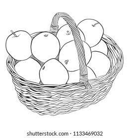 wicker basket with apples vector