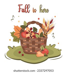 Wicker basket with autumn harvest. Fall leaves, fruits, berries, wheat, barley. Homemade fruits, vegetable, grain storage box. Greeting card with lettering. Nature background. Vector flat illustration