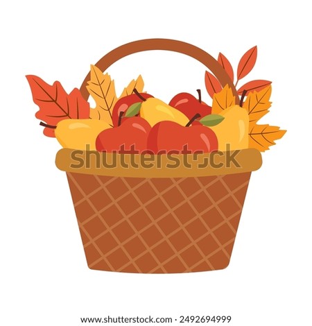 Wicker basket with autumn harvest of  fruits. Basket of  apples and pears. Autumn harvest.Vector illustration