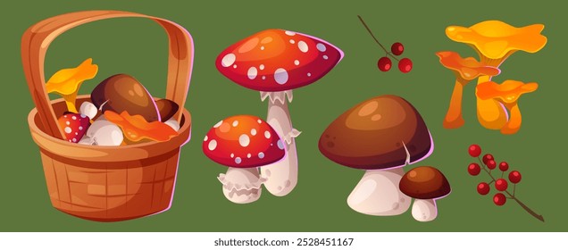 Cesta de mimbre con setas y bayas de otoño. Conjunto de Ilustración vectorial de dibujos animados de plantas de temporada comestibles y venenosas de otoño: hongos porcini, moscas agáricas y chanterelles, frutas Pequeñas rojas en la rama.